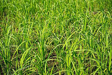 像素风动作冒险游戏《不可鲁莽》现已在Steam发售