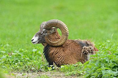 恋爱模拟游戏《制服女友》宣布9月13日发布重大公告