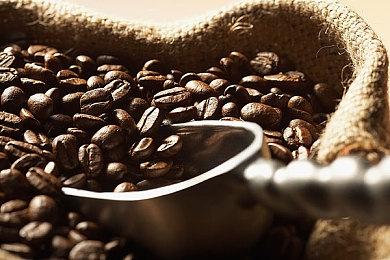 《少女前线2：追放》Steam页面开放 发售日待定